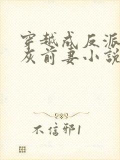 穿越成反派的炮灰前妻小说