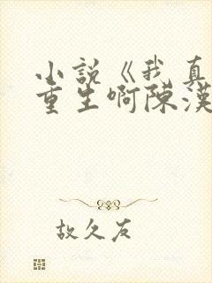 小说《我真没想重生啊陈汉升》