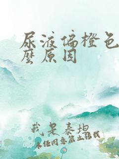 尿液偏橙色是什么原因