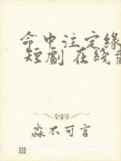 命中注定缘归来 短剧 在线观看