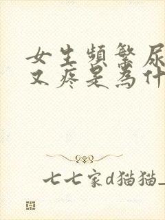 女生频繁尿急尿又疼是为什么