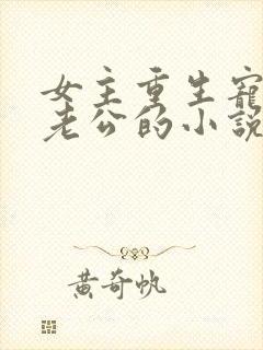 女主重生宠儿子老公的小说