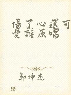 伤了心还可以去爱谁原唱