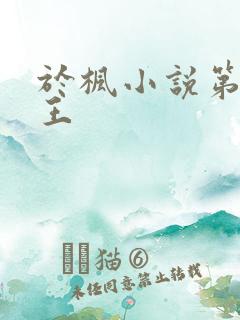 于枫小说第一兵王