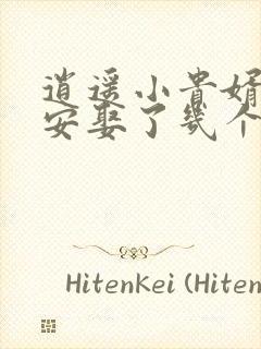 逍遥小贵婿李辰安娶了几个