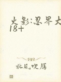 火影:忍界大战18+