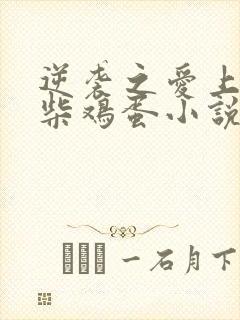 逆袭之爱上情敌柴鸡蛋小说最新篇章