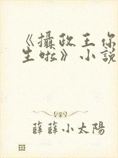 《摄政王你也重生啦》小说