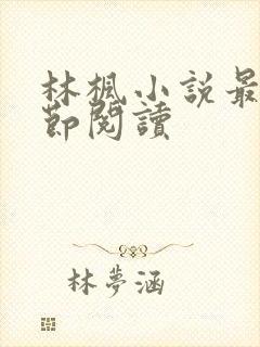 林枫小说最新章节阅读