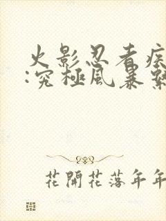 火影忍者疾风传:究极风暴系列