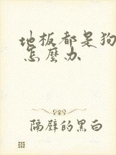 地板都是狗尿味 怎么办