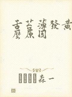 舌苔薄发黄是什么原因