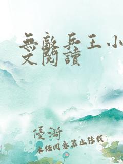 无敌兵王小说全文阅读