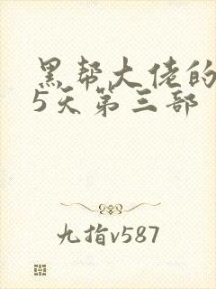 黑帮大佬的365天第三部