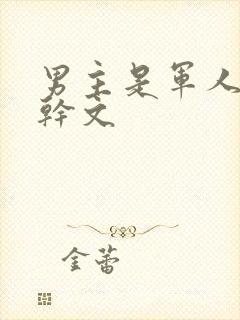 男主是军人的高干文