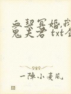 血契冥婚,我的鬼夫君 txt全本