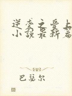 逆袭之爱上情敌小说最新篇章