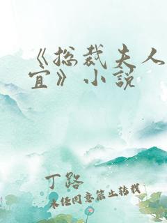 《总裁夫人沈卉宜》小说