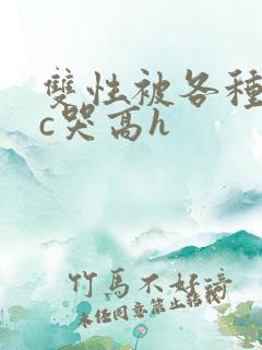 双性被各种姿势c哭高h