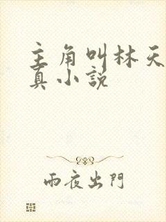 主角叫林天的修真小说