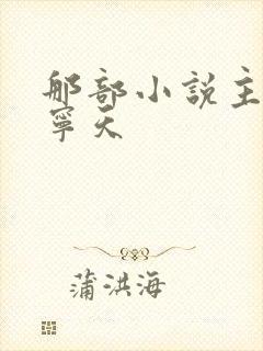 那部小说主角叫宁天