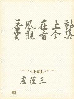 吾凰在上动漫免费观看全集完整版