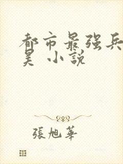 都市最强兵王叶昊 小说