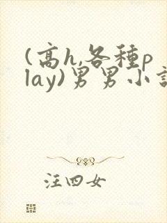 (高h,各种play)男男小说