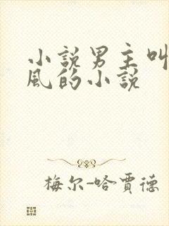 小说男主叫沈南风的小说