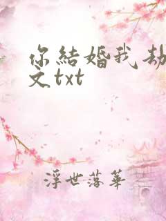 你结婚我劫婚全文txt
