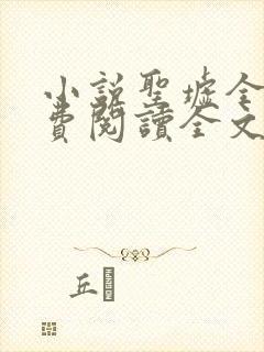 小说圣墟全文免费阅读全文