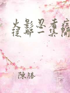 火影忍者疾风传从哪一集开始