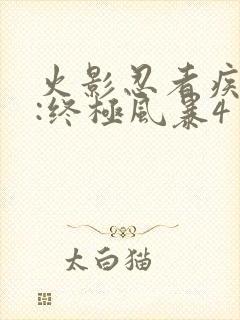 火影忍者疾风传:终极风暴4