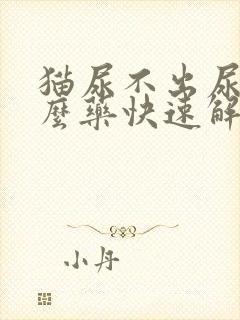 猫尿不出尿吃什么药快速解决