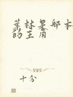 叶林是哪本小说的主角