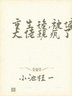 重生后,被偏执大佬亲疯了