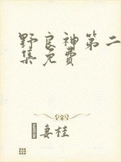 野良神第二季全集免费
