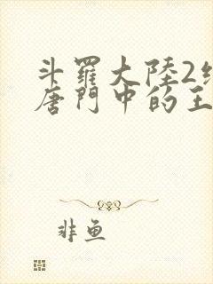 斗罗大陆2绝世唐门中的王冬