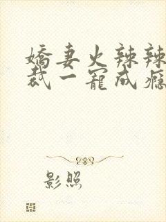 娇妻火辣辣:总裁一宠成瘾小说