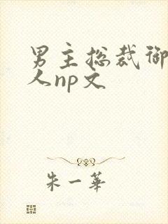 男主总裁御女多人np文