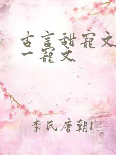 古言甜宠文一对一宠文