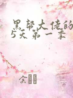 黑帮大佬的365天第一季