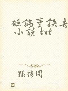 砸锅卖铁去上学 小说 txt