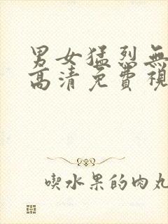 男女猛烈无遮挡高清免费视频