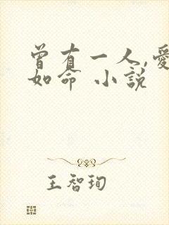 曾有一人,爱我如命 小说