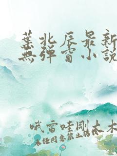 叶北辰最新章节无弹窗小说