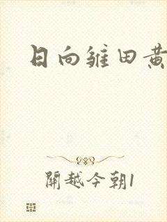 日向雏田黄文