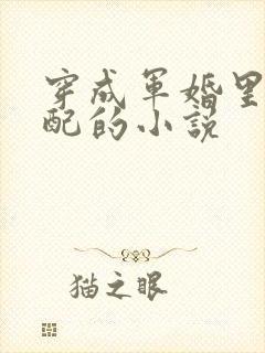 穿成军婚里的女配的小说