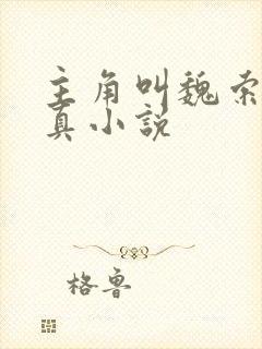 主角叫魏索的修真小说