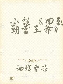 小说 《回到宋朝当王爷》